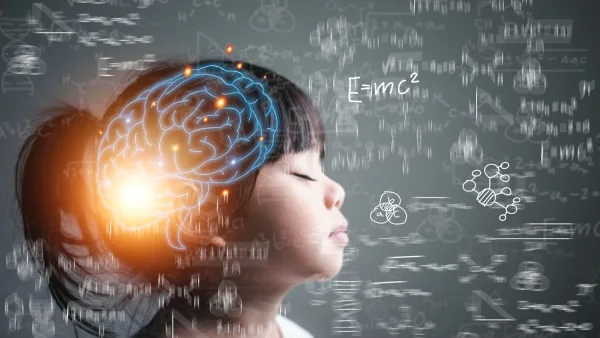 biologia do aprendizado, neurobiologia do aprendizado